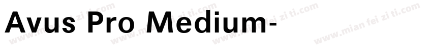 Avus Pro Medium字体转换